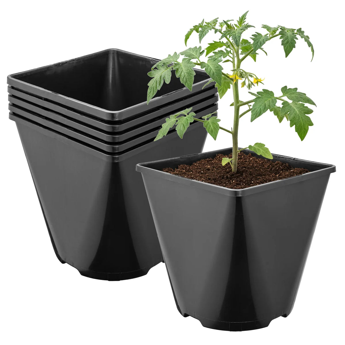 #Größe_15,7 x 15,7 x 16 cm (3L)#Set_5 Töpfe