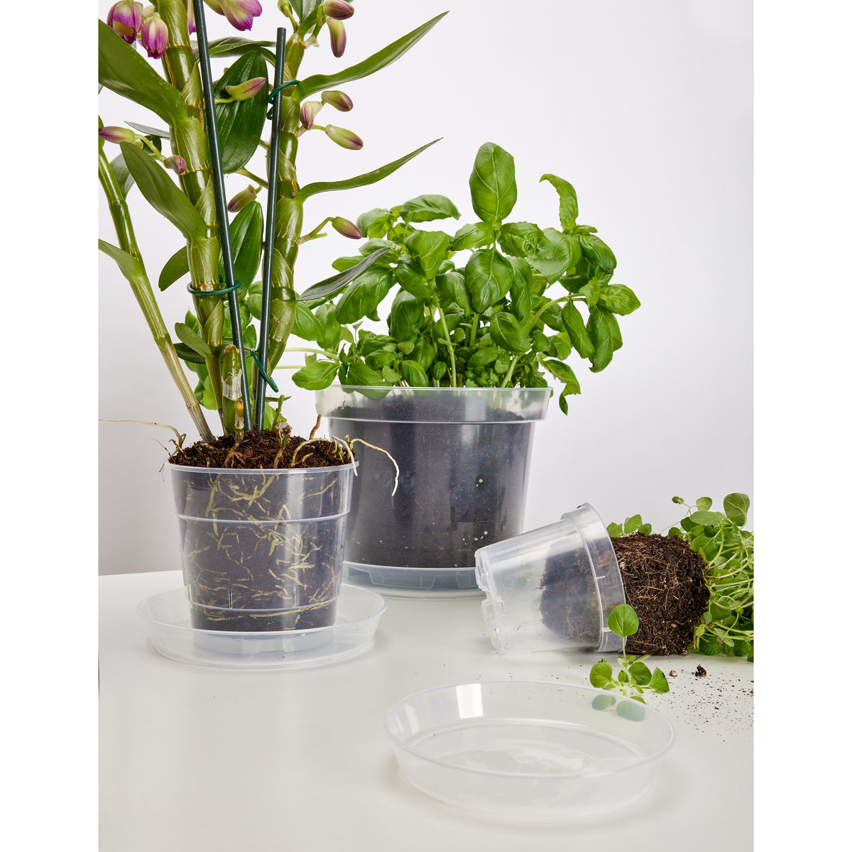 Blumentopf Transparent runder GD-0024