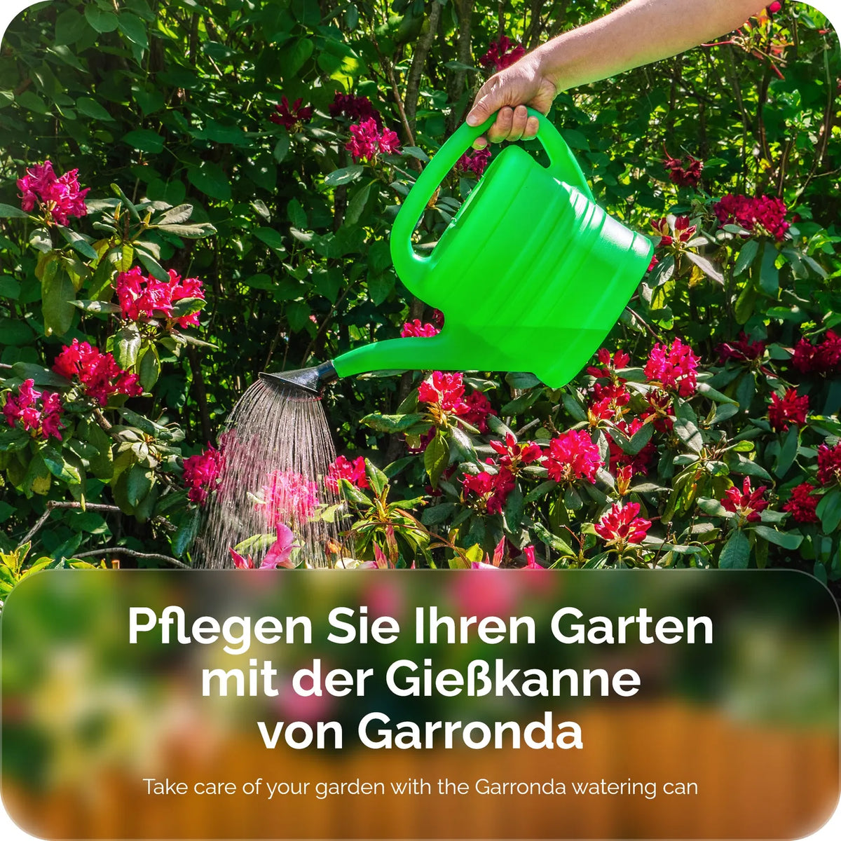 #Größe_2,5L